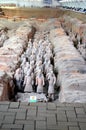 Exhibition of the famous Chinese Terracotta Army in Xian China Royalty Free Stock Photo